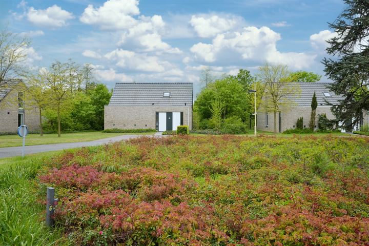 Bekijk foto 2 van Schutteheide 1-193