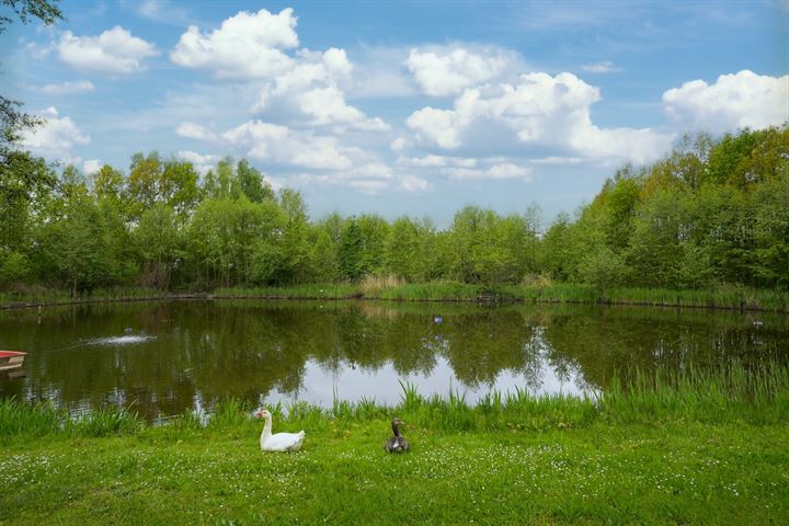 Bekijk foto 7 van Schutteheide 1-193