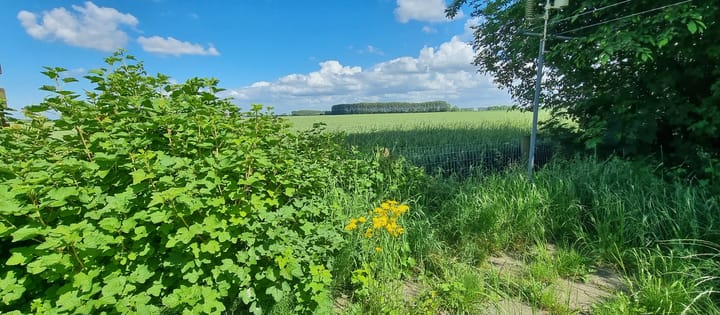 Foto 31 van Molenstraat 71