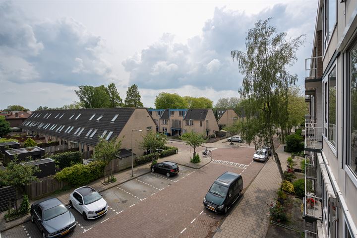 Bekijk foto 18 van Twickelstraat 85