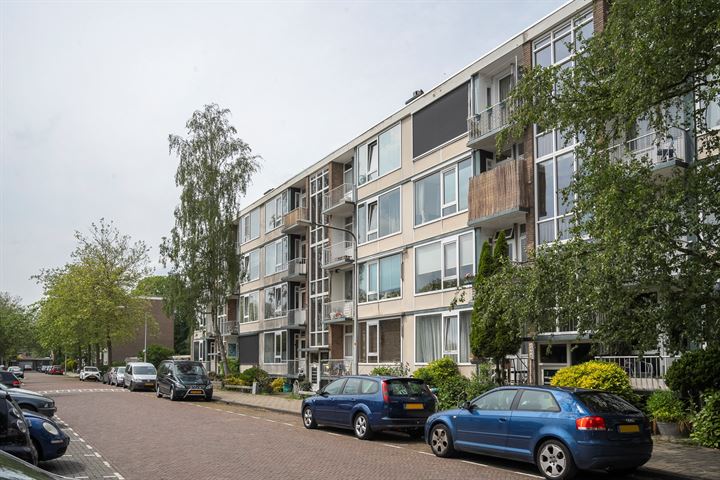 Bekijk foto 19 van Twickelstraat 85