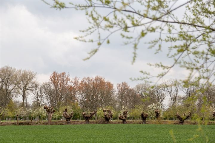 Bekijk foto 27 van Klaasputhoek 21