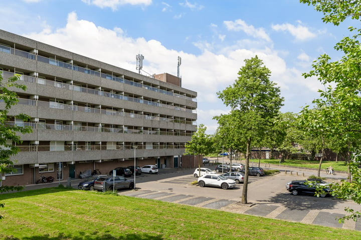 Bekijk foto 3 van Haringvlietstraat 289