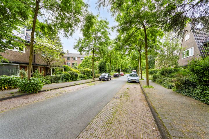 Bekijk foto 37 van Celsiusstraat 61