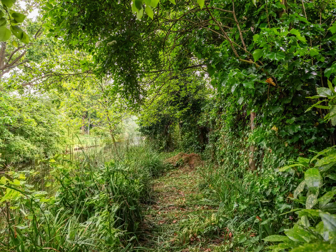 Photo 43 of Kanaaldijk 182