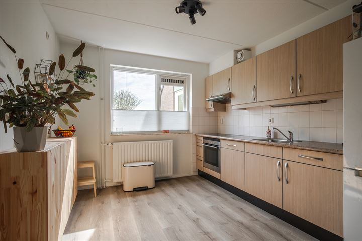 Bekijk foto 18 van Fabritiusstraat 33