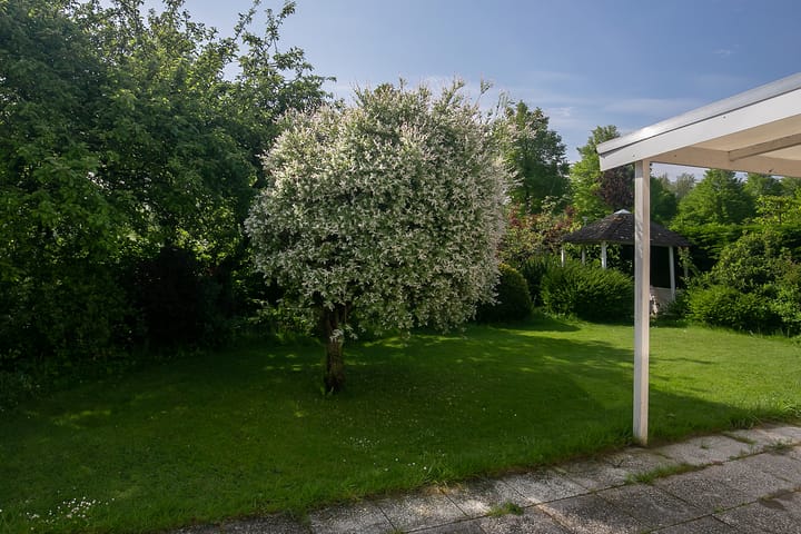 Foto 25 van Klaverakker 5