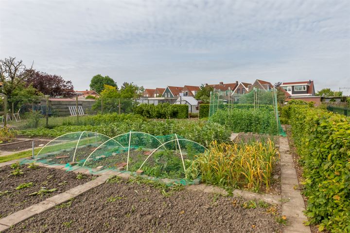 Bekijk foto 3 van Burgemeester Lantsheerweg 16