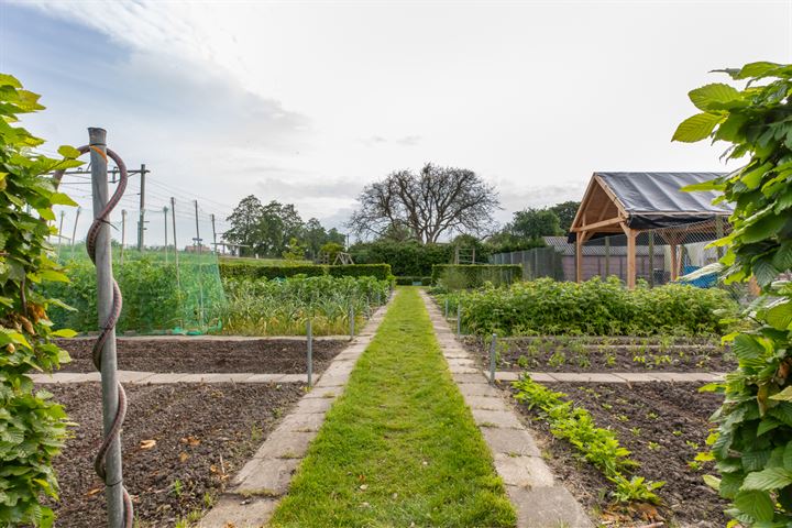 Bekijk foto 7 van Burgemeester Lantsheerweg 16