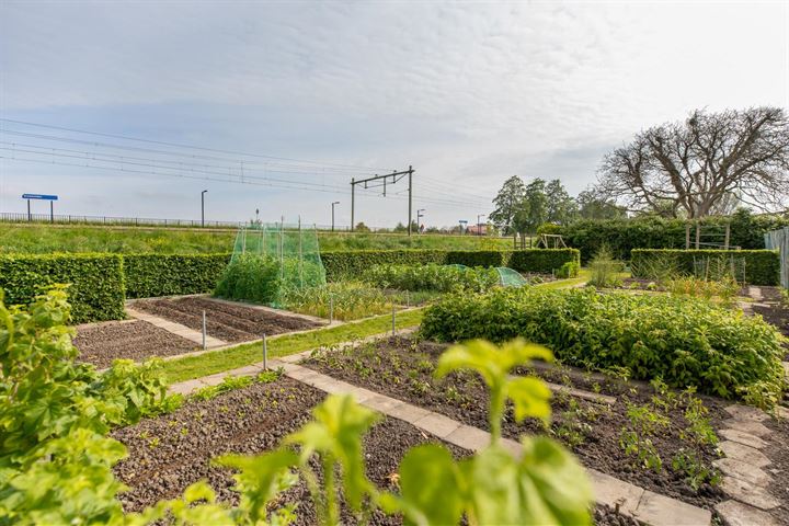 Bekijk foto 39 van Burgemeester Lantsheerweg 16