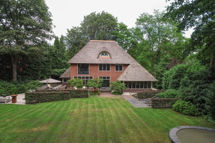 undefined main image
