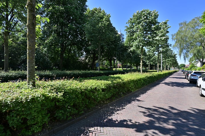 View photo 2 of Lawickse Allee 28