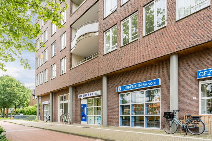 Foto 2 van Noorderlicht 41