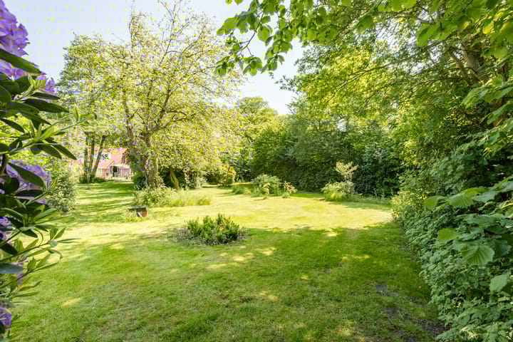 Foto 44 van Burgemeester de Goedestraat 12