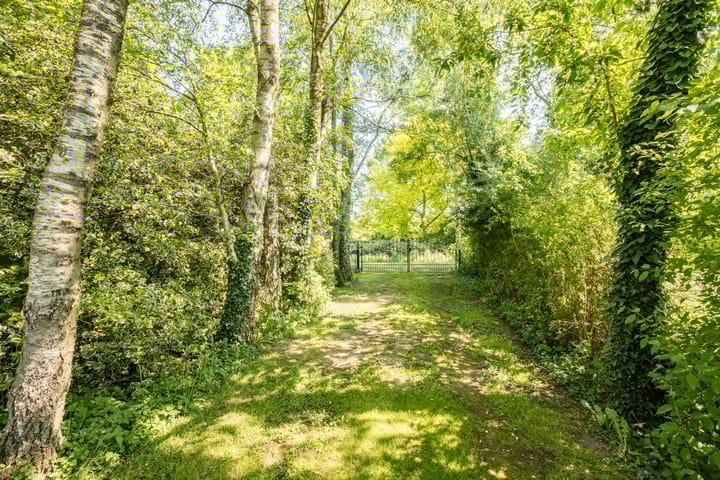 Foto 46 van Burgemeester de Goedestraat 12