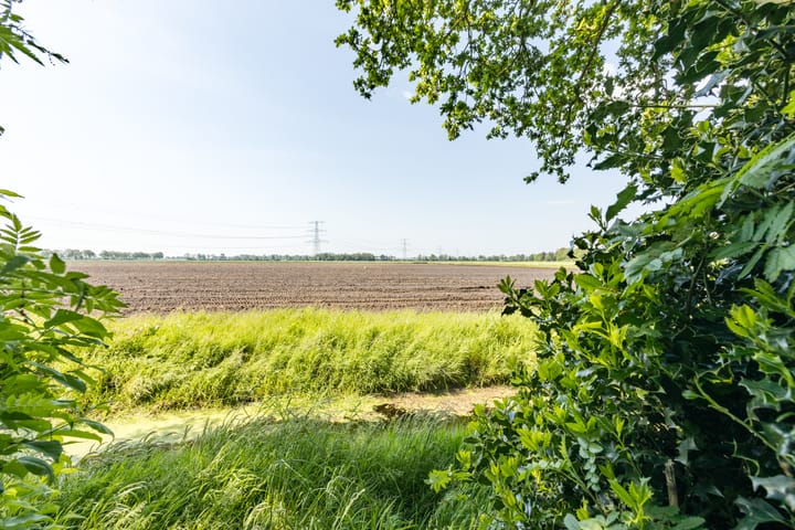 Foto 47 van Burgemeester de Goedestraat 12