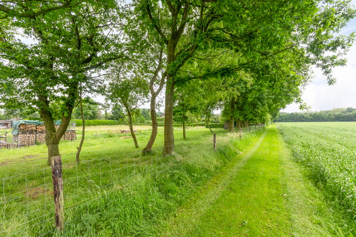 Bekijk foto 2 van Harderwijkerweg 319