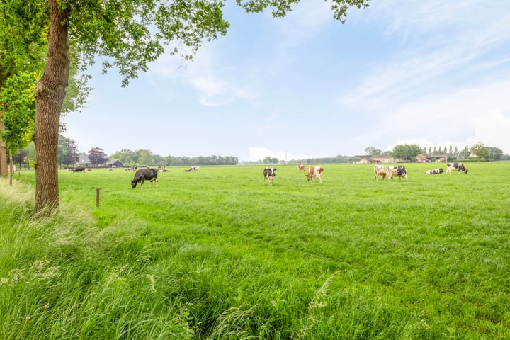 Bekijk foto 3 van Harderwijkerweg 319