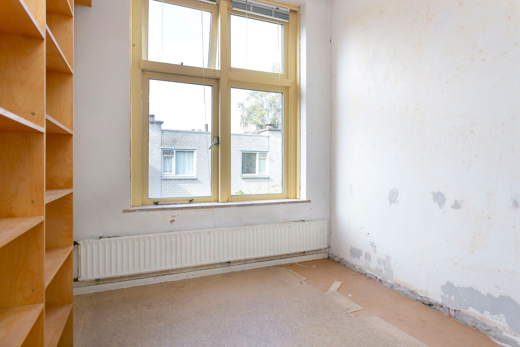 Photo 12 of Het Nieuwe Land 4