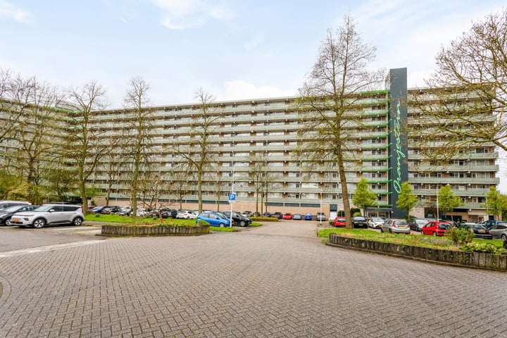 Bekijk foto 4 van Stadhoudersring 208