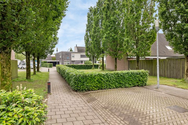 Bekijk foto 57 van Hollandse Hoeve 19