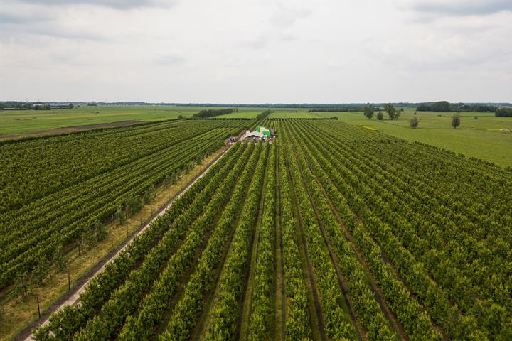 Bekijk foto 34 van Mastwijkerdijk 58