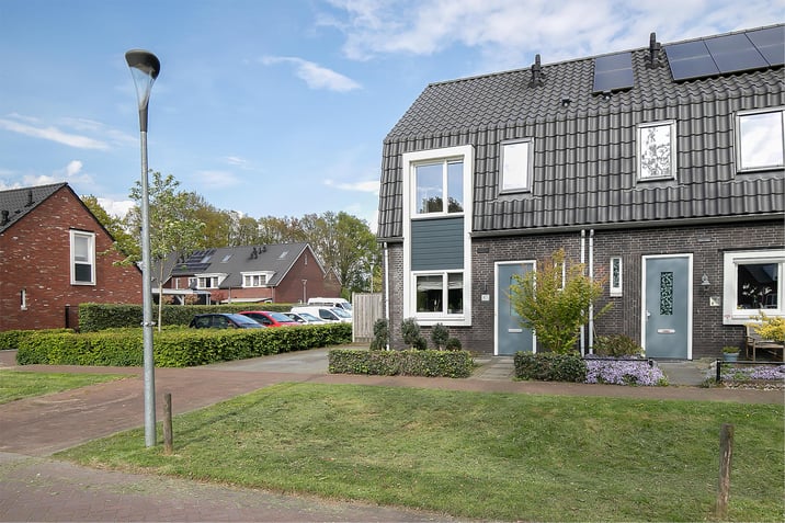 undefined main image