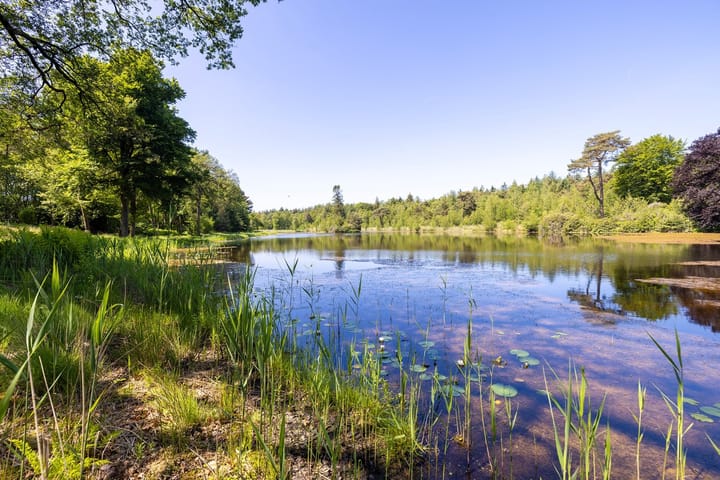 Foto 36 van Heult 26