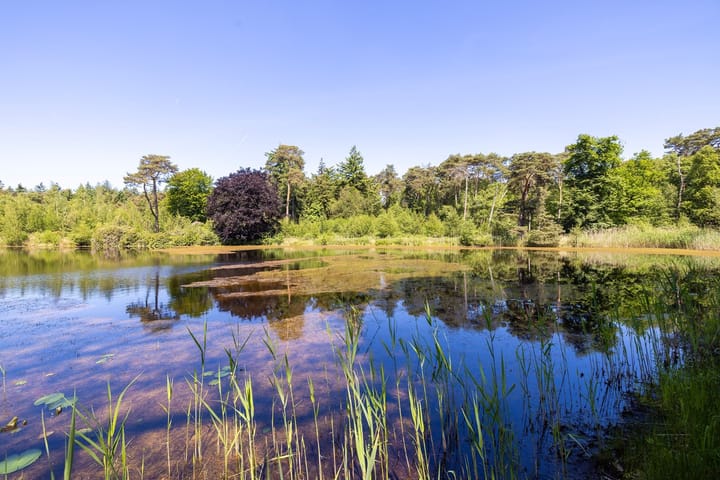 Foto 37 van Heult 26