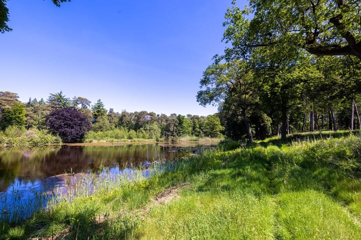 Foto 38 van Heult 26