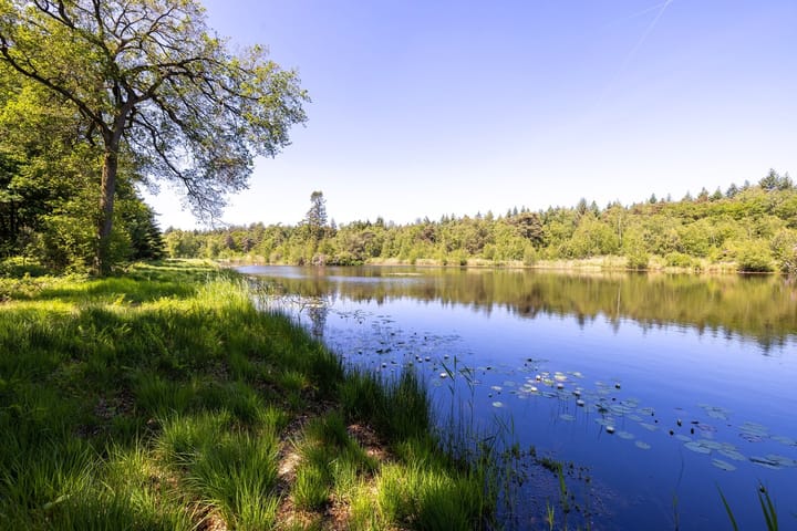 Foto 39 van Heult 26