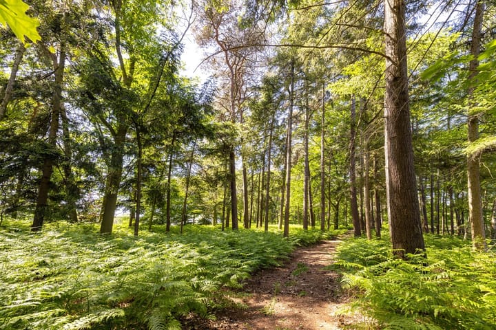 Foto 40 van Heult 26