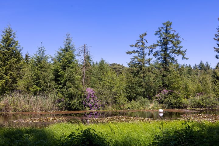 Foto 41 van Heult 26