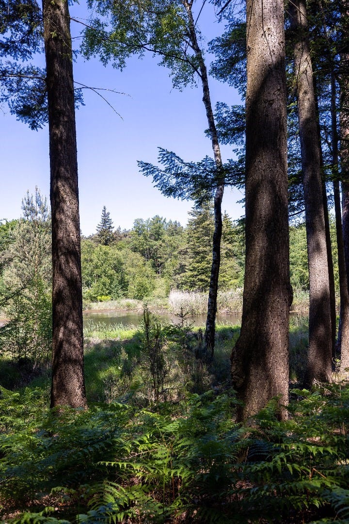 Foto 42 van Heult 26