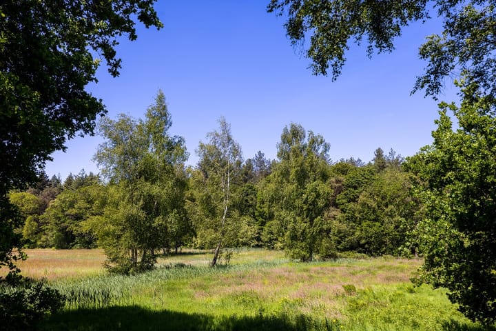 Foto 43 van Heult 26