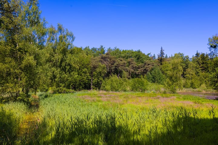 Foto 45 van Heult 26