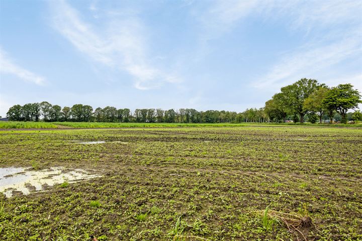 Bekijk foto 42 van Droesenweg 6