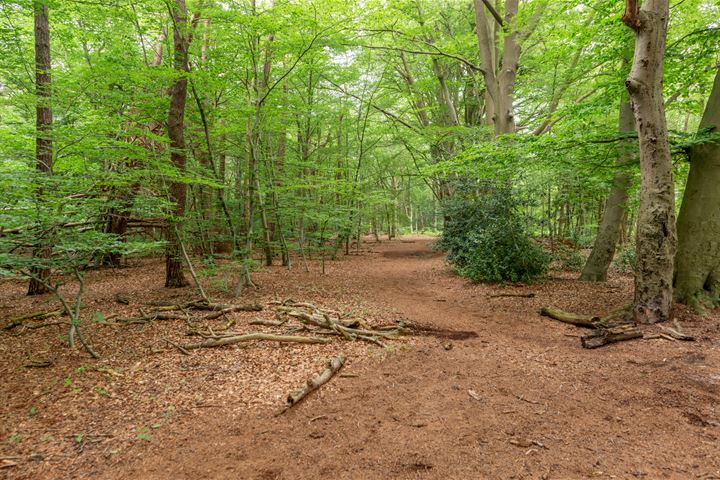 Bekijk foto 55 van Trompenbergerweg 61