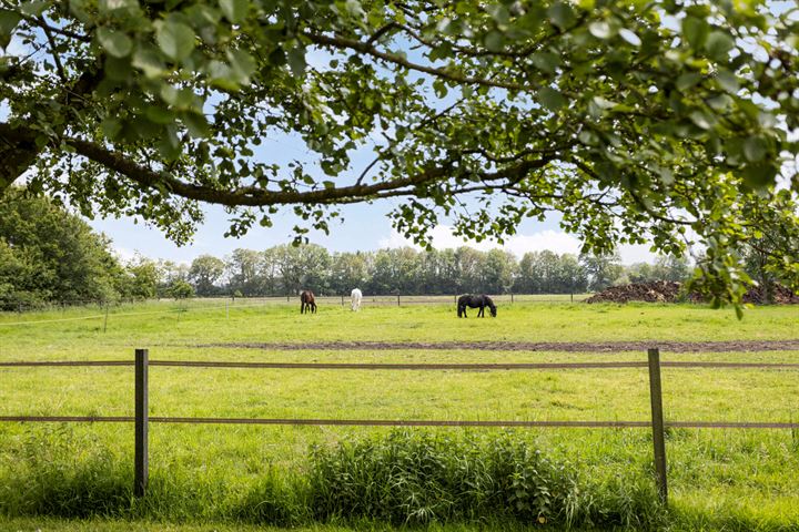 Bekijk foto 66 van Eleveld 3