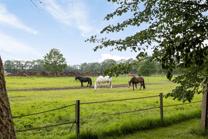 Bekijk foto 70 van Eleveld 3