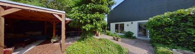 achtertuin