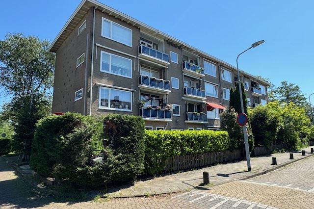 Bekijk foto 1 van Wijnmalenstraat 69