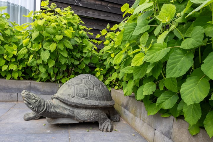 Foto 68 van Waaijakkers 2