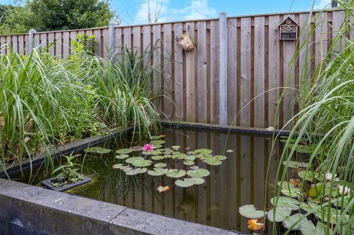 Foto 70 van Waaijakkers 2