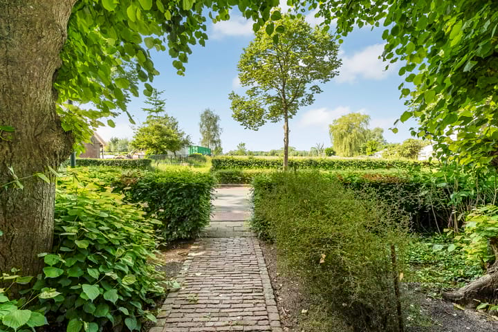 Foto 22 van Pandelaar 75