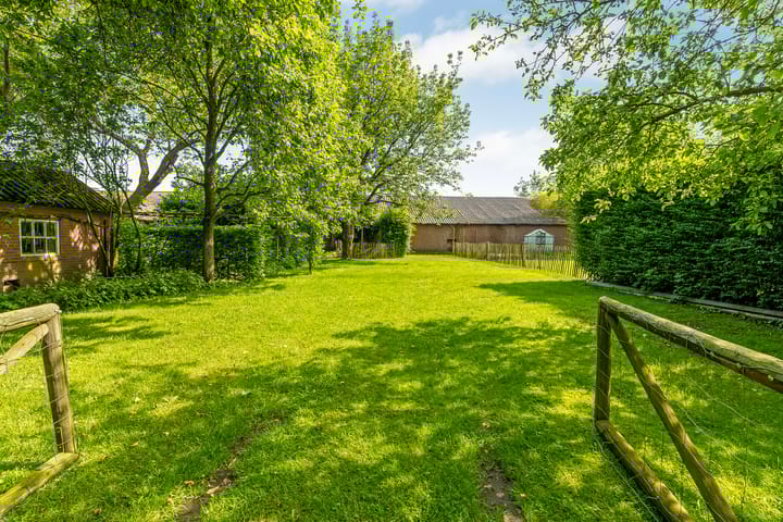 Foto 50 van Pandelaar 75