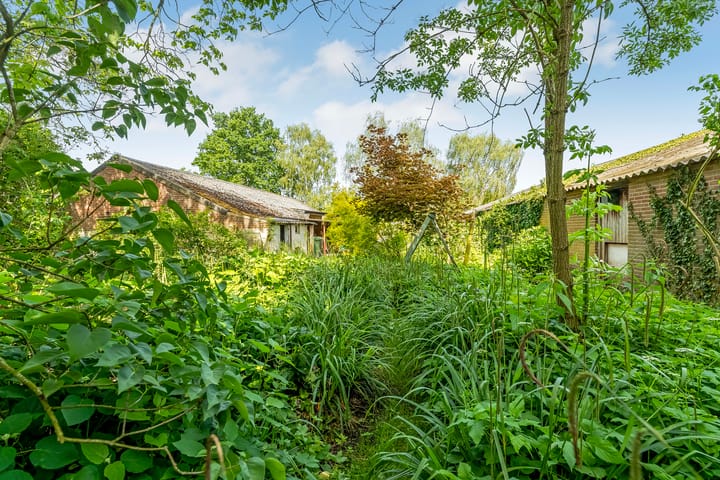 Foto 52 van Pandelaar 75