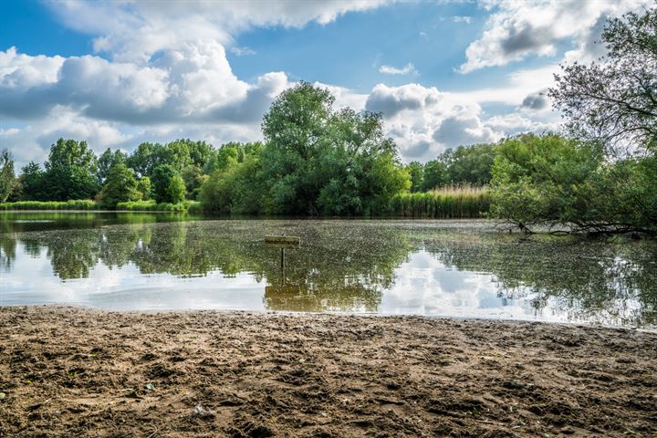 Bekijk foto 34 van Pelikaan 2