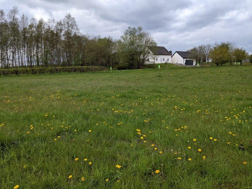 Foto 4 van Allmuthen Los 3