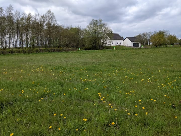 Foto 4 van Allmuthen Los 3